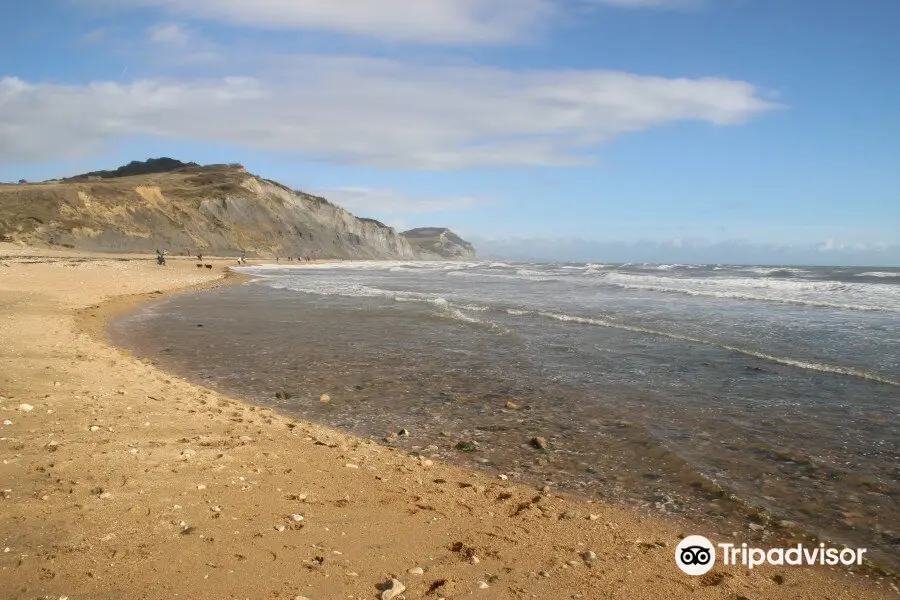 Charmouth Beach