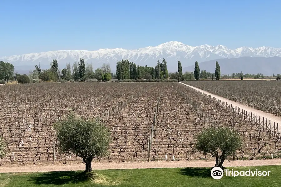 Bodegas Belasco de Baquedano