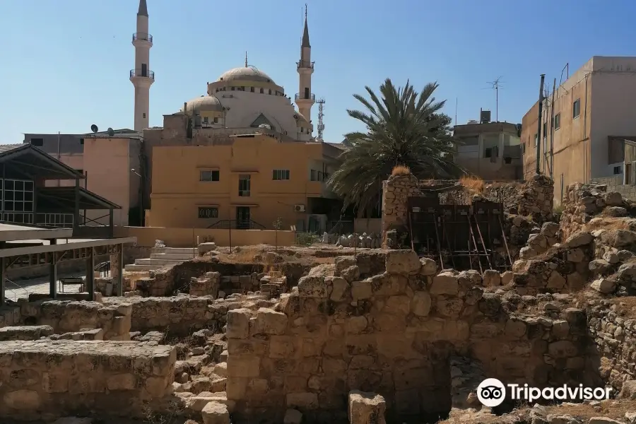 Madaba Archaeological Park