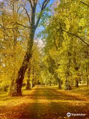 Camperdown Country Park