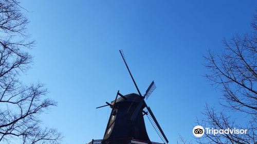 The Historic Windmill