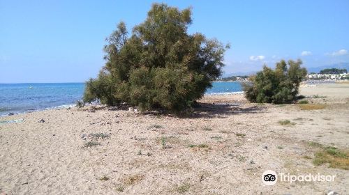 Playa de la Riera