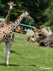 ア・ボタニツキー・パルク・オストラバ動物園