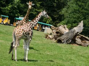 ア・ボタニツキー・パルク・オストラバ動物園