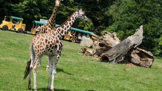 ア・ボタニツキー・パルク・オストラバ動物園