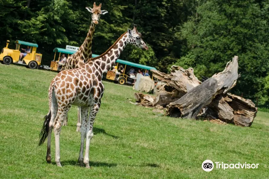 Ostrava Zoo