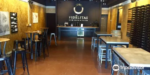 Fidelitas Wines - Woodinville
