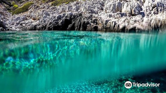 Poseidon Daily Excursions