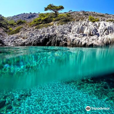 Poseidon Daily Excursions