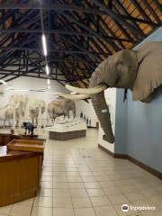 Elephant Hall @ Letaba Rest Camp