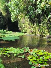 Maraa Grotto