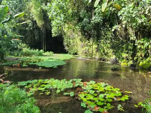 Maraa Grotto