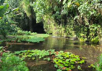 Maraa Grotto