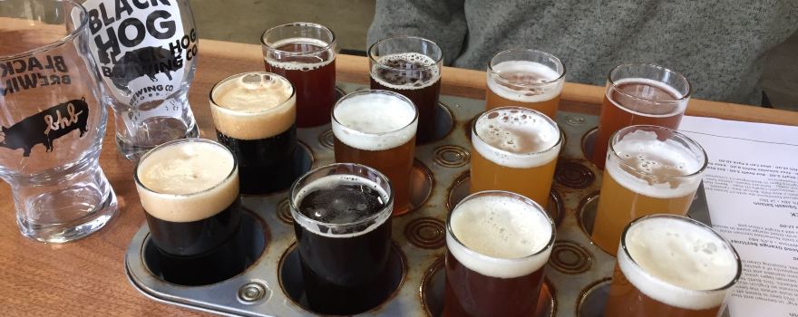 Black Hog Brewing Co