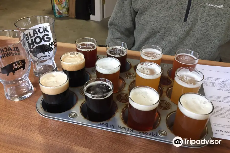 Black Hog Brewing Co