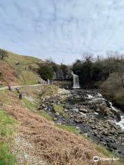 Ingleton Waterfalls Trail