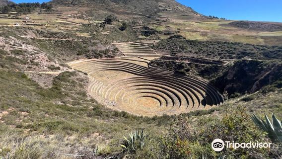 perjalanan satu hari ke Lembah Suci di Wilayah Cusco, Peru: Sawah Terasering Morai + Dataran Garam