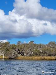 Augusta River Tours