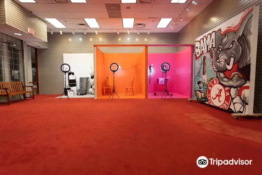 SayCheese Selfie Museum