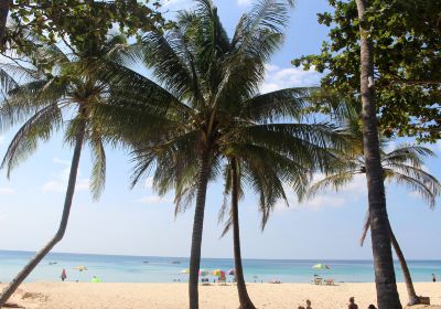 Surin Beach