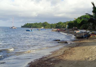 Sharkies Beach