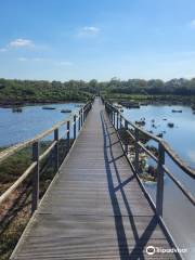 Réserve Naturelle des Marais de Séné