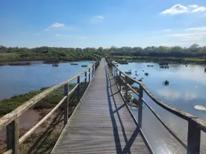 Réserve Naturelle des Marais de Séné