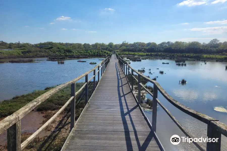 Reserve Naturelle Marais de Sene