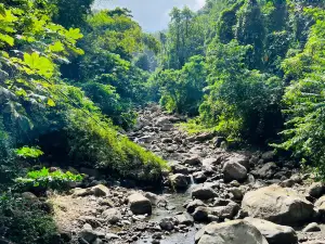 Dark View Falls