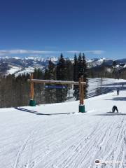 Beaver Creek Ski Area