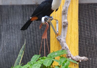 Parotte Ville Bird Park