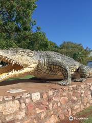 Krys the Crocodile