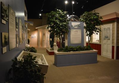 Augusta Museum of History