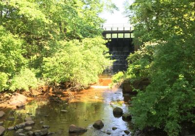 Cold Spring Harbor Fish Hatchery & Aquarium