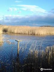 RSPB Newport Wetlands