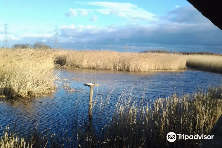 RSPB Newport Wetlands