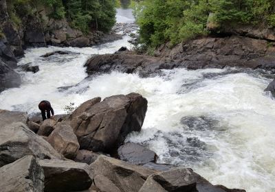 Oxtongue River-Ragged Falls Provincial Park