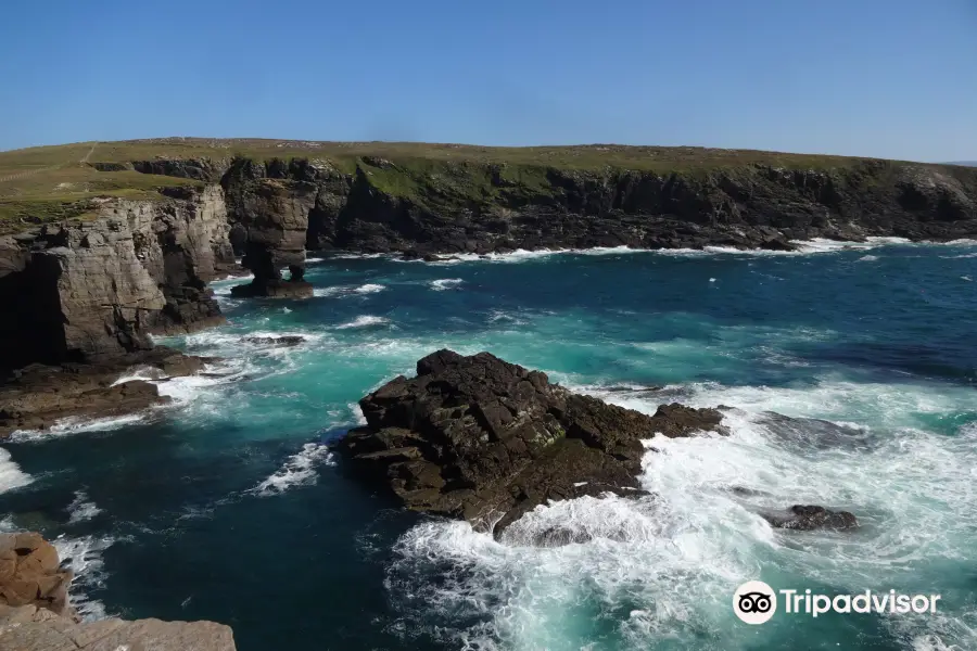 Yesnaby Cliffs