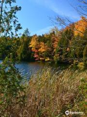 Crawford Lake Conservation Area