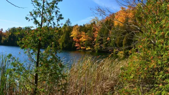 Crawford Lake Conservation Area