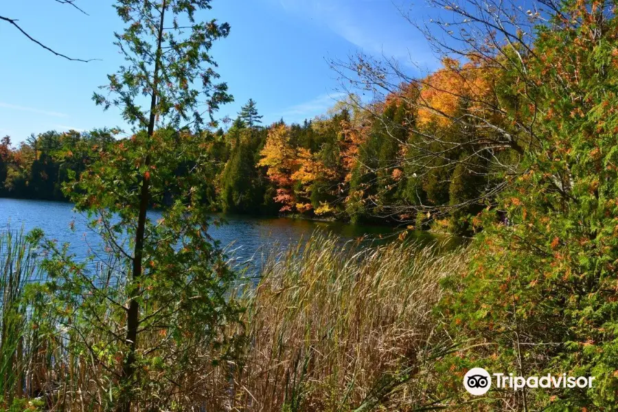 Crawford Lake Conservation Area