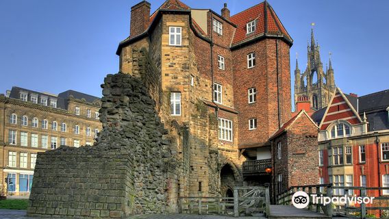 Newcastle Castle