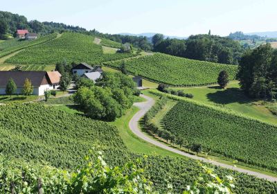 Weingut Lackner-Tinnacher