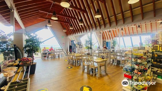 Arigna Mining Experience