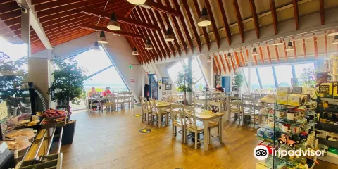 Arigna Mining Experience