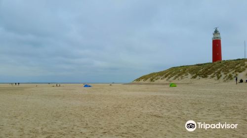 Vuurtorenweg Texel Beach