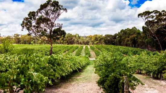 Woodstock Wine Estate