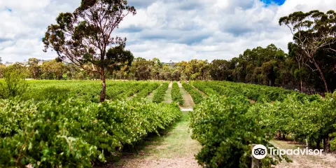 Woodstock Wine Estate