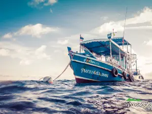 Pura Vida Diving