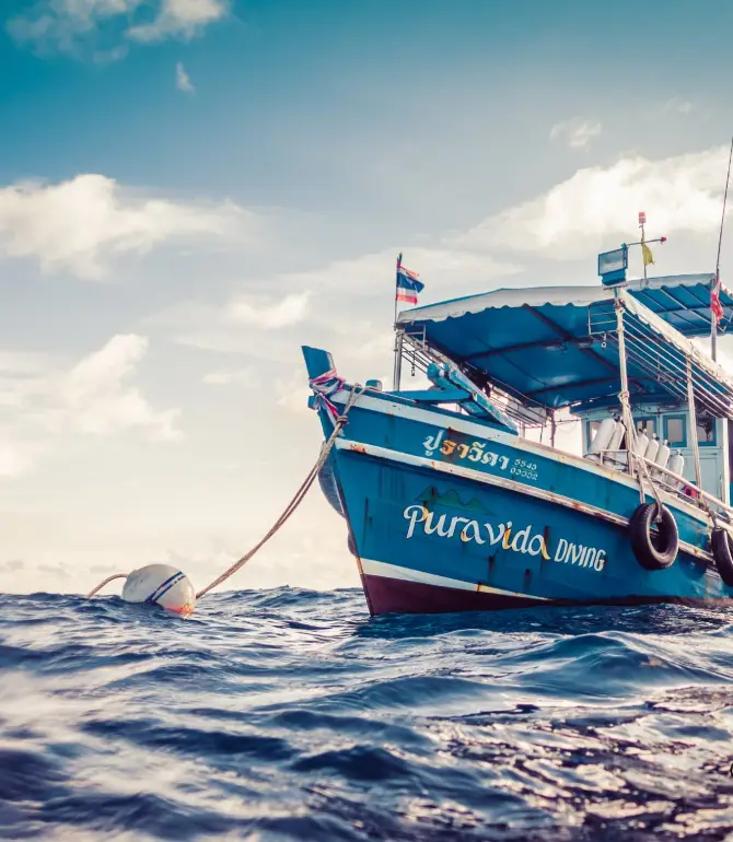 Koh Tao